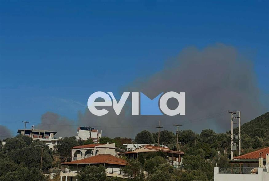 Φωτιά στο χωριό Ζάρακες στην Εύβοια (evima.gr)