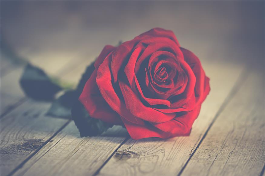 Κόκκινο τριαντάφυλλο/pexels.com