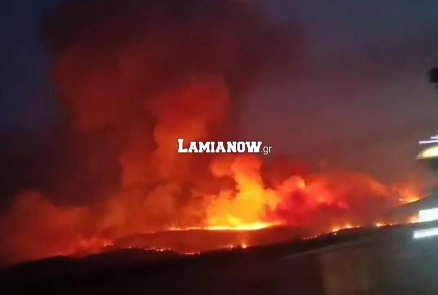Φωτιά στη Θήβα (lamianow.gr)