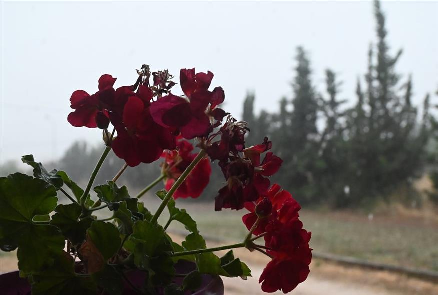 Αλλάζει το σκηνικό του καιρού (Eurokinissi)