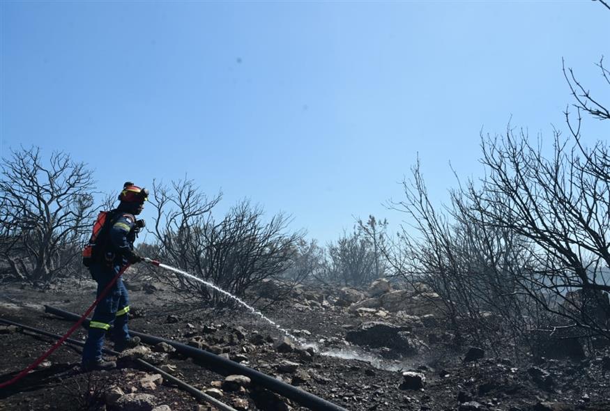 Πάνω από 40.000 στρέμματα κάηκαν σε Κύθηρα, Εύβοια και Κρυονέρι (EUROKINISSI)