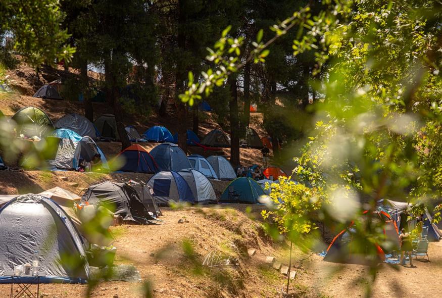 13ο Μουσικό Φεστιβάλ Ελάτειας 13ο Μουσικό Φεστιβάλ Ελάτειας