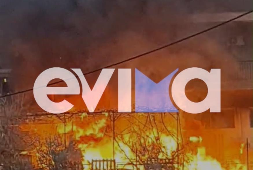 Φωτιά στην Εύβοια