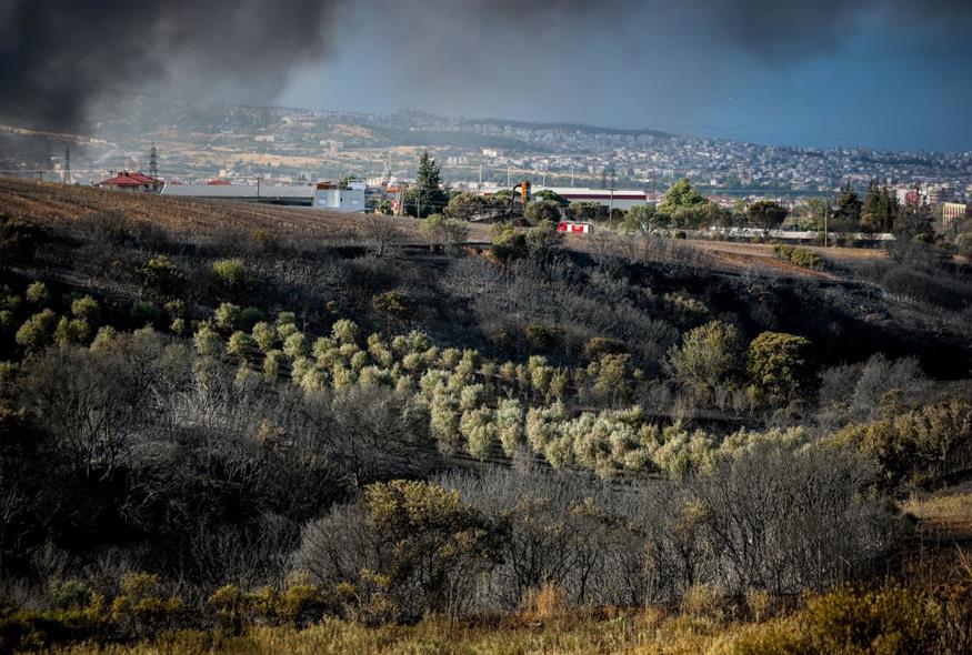 Φωτιά στο Ωραιόκαστρο Θεσσαλονίκης Φωτιά στο Ωραιόκαστρο Θεσσαλονίκης