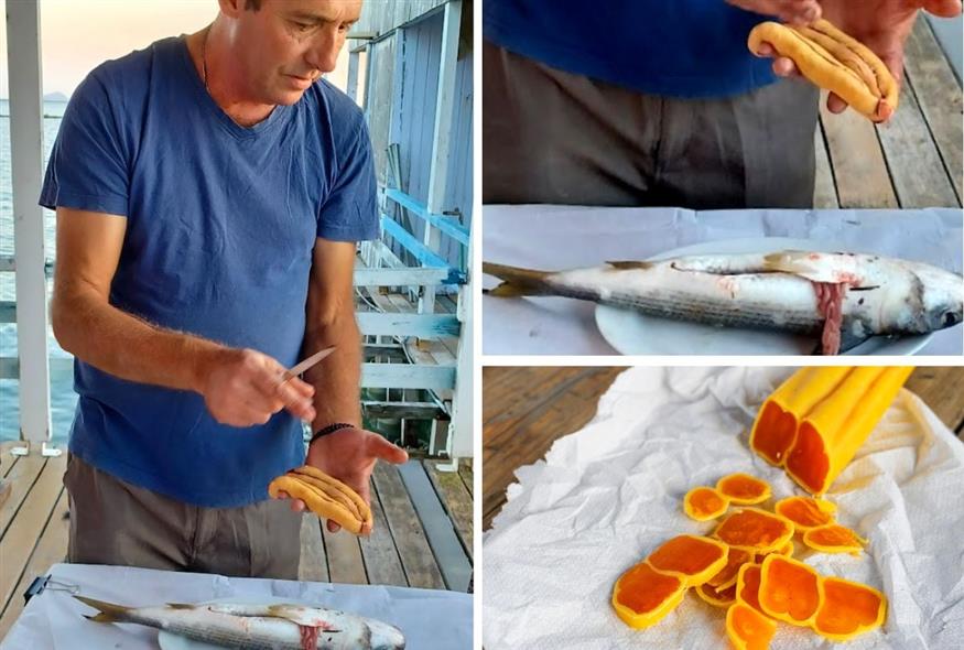 Ο Αριστείδη Μαντζουράτος, πρόεδρος του Αλιευτικού Συνεταιρισμού «Αναγέννηση», του μόνου που έχει το δικαίωμα να παράγει Αυγοτάραχο Μεσολογγίου ΠΟΠ, δείχνει πώς βγαίνουν τα αυγά από την μπάφα