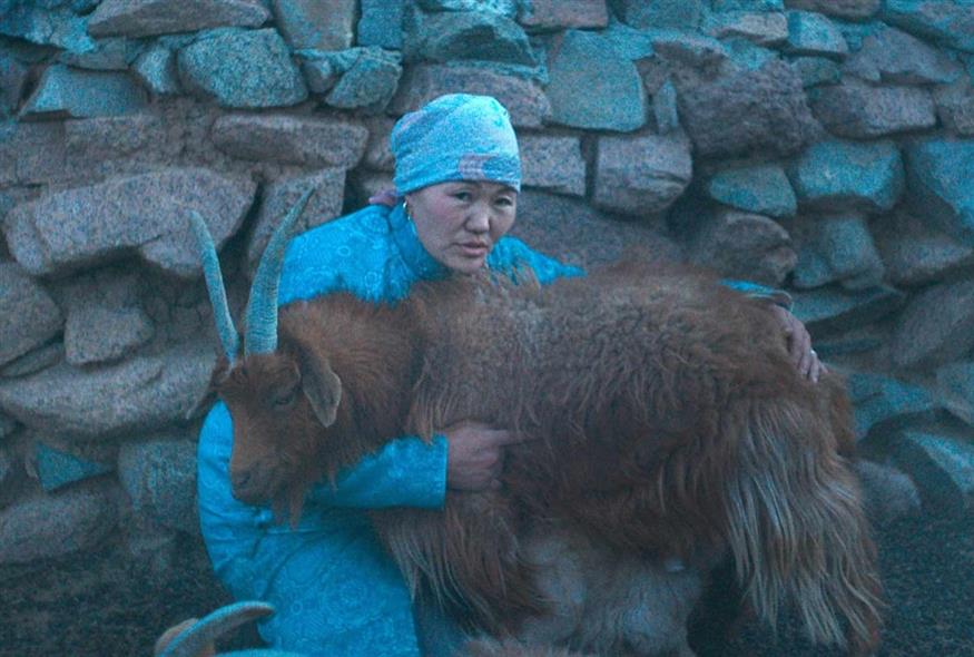 «The Wolves Always Come at Night» της Γκαμπριέλ Μπρέιντι