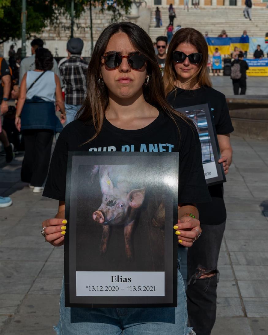 Εθνική Ημέρα Δικαιωμάτων των Ζώων Εθνική Ημέρα Δικαιωμάτων των Ζώων