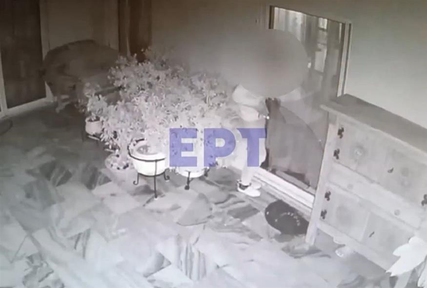 Βίντεο από τη δράση της σπείρας που «ξάφριζε» σπίτια στην Αττική (Video Capture)