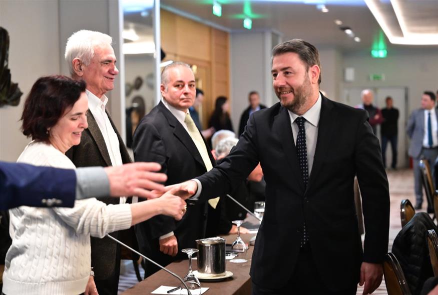 Νίκος Ανδρουλάκης