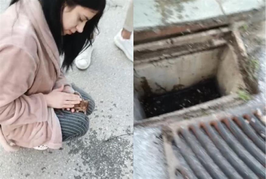 Η 21χρονη νοσηλεύτρια με το γατάκι στα χέρια της (THESTIVAL.GR)