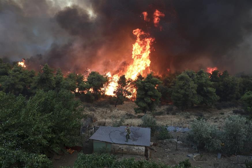 Η φωτιά στο χωριό Μακρυμάλλη Ευβοίας (AP Photo/Yorgos Karahalis)