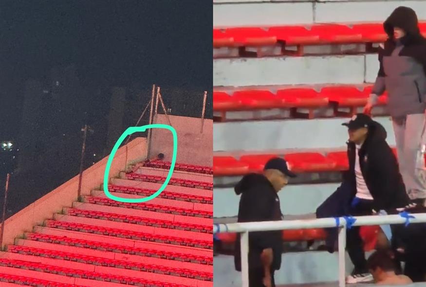 (Πηγή φωτο: X)