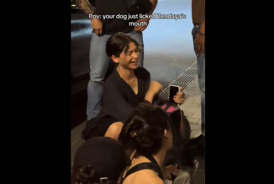 Zendaya: Έπαιξε με ένα σκυλάκι στον δρόμο και πήραν «φωτιά» τα social (TikTok)