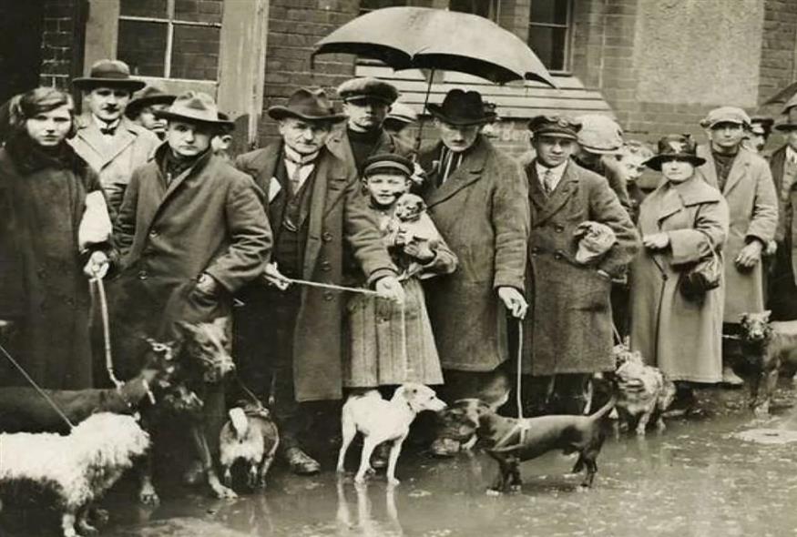 Στην «ουρά» κουνώντας ουρά προς τον θάνατο...