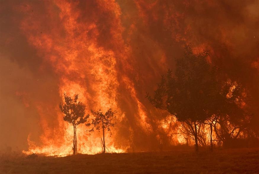 Σε ύψιστο συναγερμό παραμένουν η Γαλλία και η Ισπανία εξαιτίας των ανεξέλεγκτων πυρκαγιών (ΑP) Σε ύψιστο συναγερμό παραμένουν η Γαλλία και η Ισπανία εξαιτίας των ανεξέλεγκτων πυρκαγιών (ΑP)