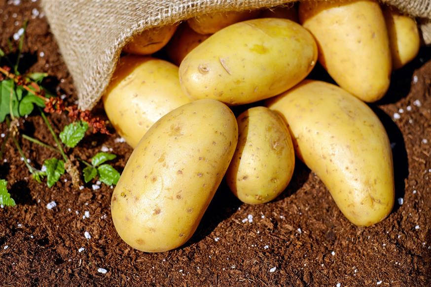 πατάτες μέσα σε σάκο (pixabay.com)