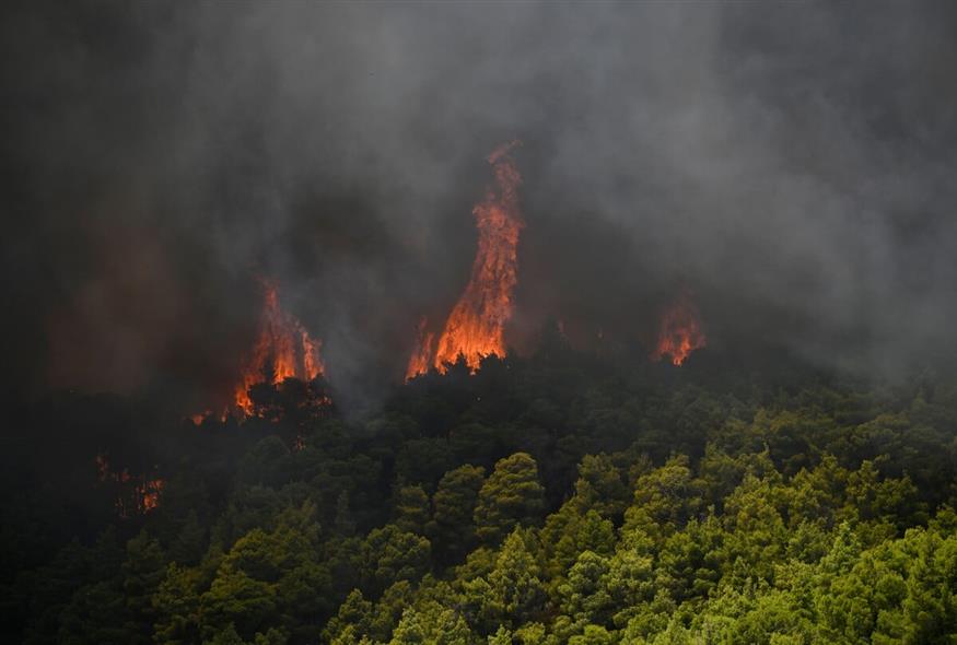 Οι καταστροφικές πυρκαγιές στα ελληνικά νησιά (AP) Οι καταστροφικές πυρκαγιές στα ελληνικά νησιά (AP)