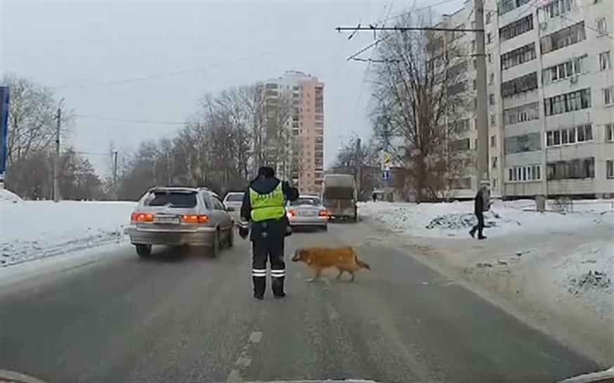 Ο αστυνομικός αφήνει τον σκύλο να περάσει τον δρόμο