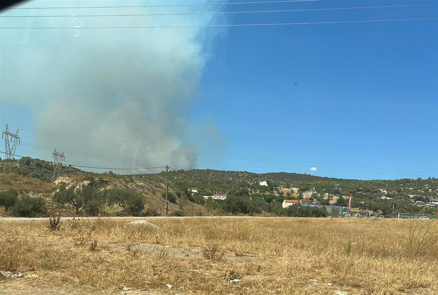Φωτιά στην Εύβοια: Εκτός ελέγχου οι φλόγες στον Πισσώνα (ethnos.gr)