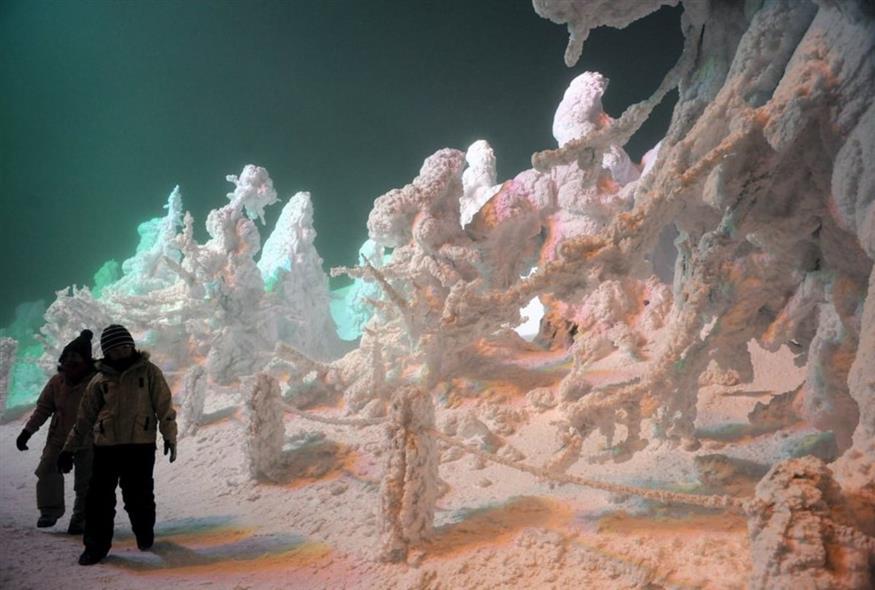 «Τέρατα χιονιού» (EPA/FRANCK ROBICHON)