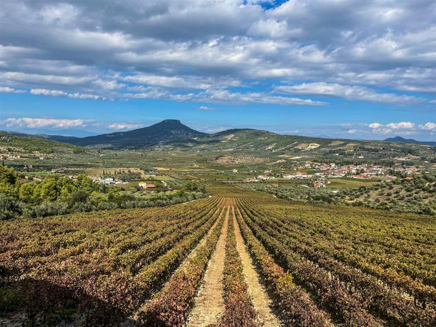 Κτήμα Παλυβού Η θέα από το Palivou Wine Train