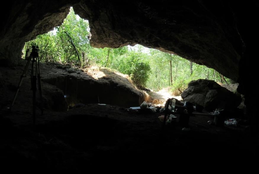 Νεάντερταλ