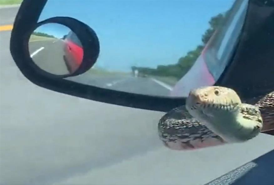 Φίδι στον καθρέφτη ΙΧ στο Κάνσας / Video Capture