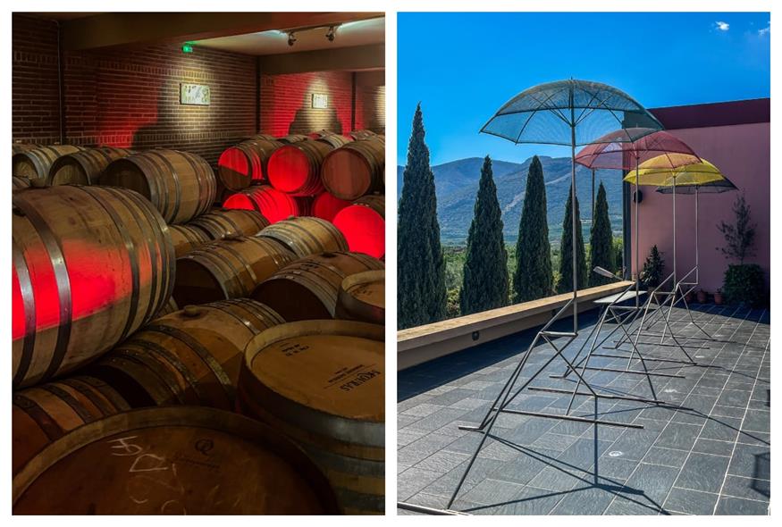 Κτήμα Σκούρα Το εντυπωσιακό κελάρι των 1.000 δρύινων βαρελιών, με σταθερή θερμοκρασία +14°C και υγρασία 70%, όπου τα κρασιά ωριμάζουν σε ιδανικές συνθήκες και το έργο τέχνης «Τέσσερις Εποχές»