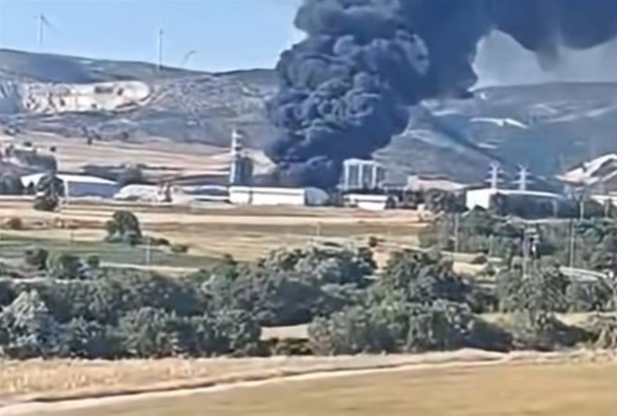 Φωτιά στην Αλεξανδρούπολη/e-evros.gr