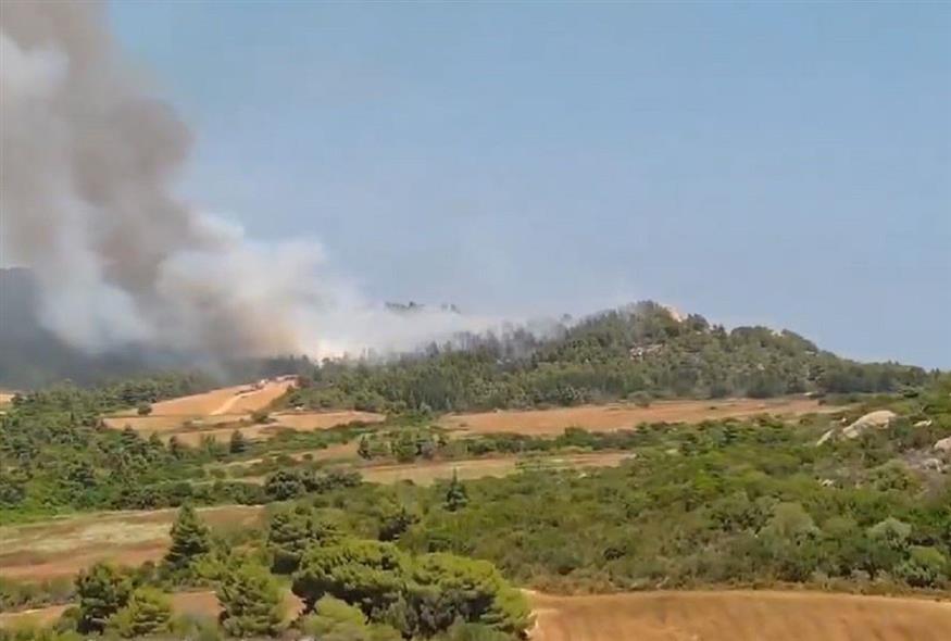 Συνεχίζεται η μάχη με τις φλόγες στη Χαλκιδική (Video Capture)