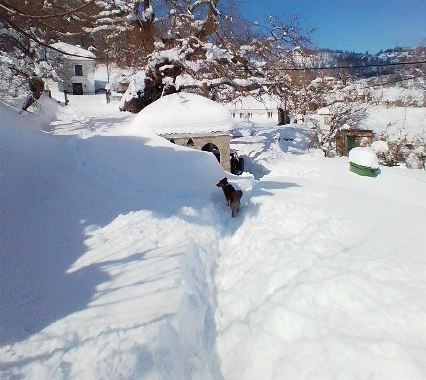 Το χωριό Αμέλαντες παραμένει αποκλεισμένο από το χιόνι