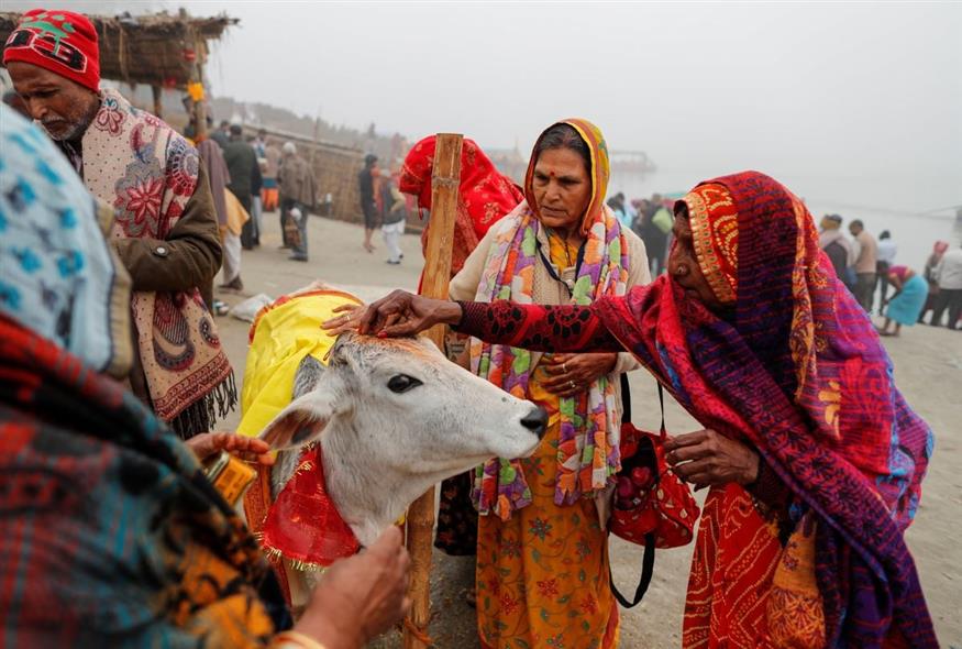 Αγελάδα (AP Photo/Rajesh Kumar Singh)