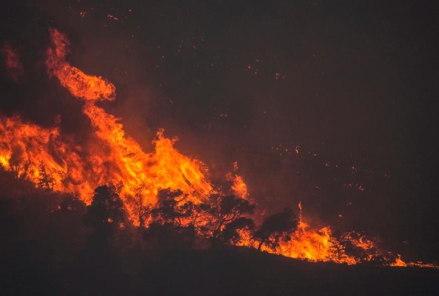 Φωτιά στην Κορινθία (φωτογραφία αρχείου/ Associated Press)