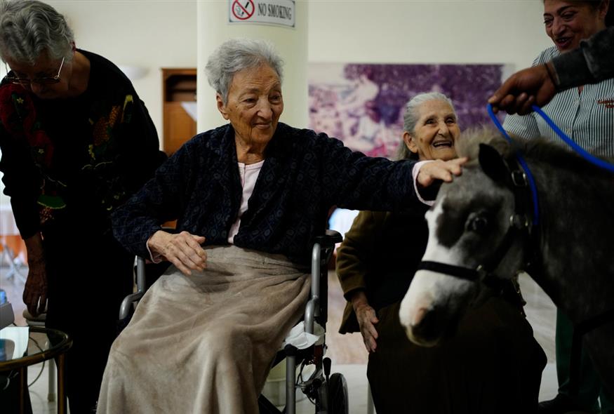 Τα αλογάκια μινιατούρα που θεραπεύουν ανάπηρα παιδιά και ηλικιωμένους «εκπέμπουν SOS»