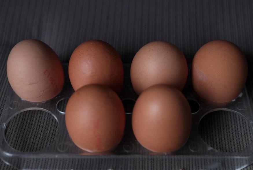 (ΓΙΑΝΝΗΣ ΠΑΝΑΓΟΠΟΥΛΟΣ/ EUROKINISSI)