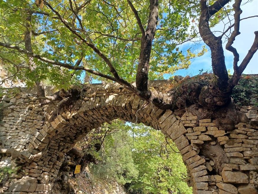 Το θερμό σφιχταγκάλιασμα της φύσης και του ανθρώπινου μόχθου | © Χριστίνα Τσαμουρά Το θερμό σφιχταγκάλιασμα της φύσης και του ανθρώπινου μόχθου | © Χριστίνα Τσαμουρά