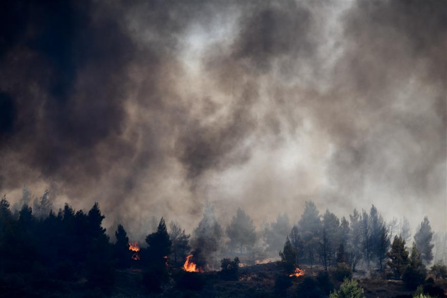 Νέο μέτωπο φωτιάς στις Κεχριές (Copyright: Eurokinissi/Αντώνης Νικολόπουλος)