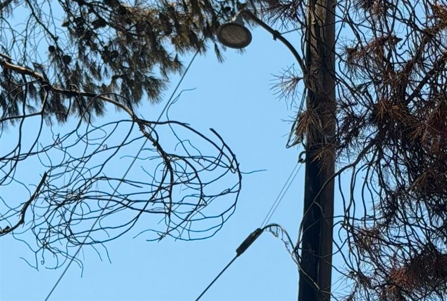 Η δημοτική αρχή καταγγέλλει ότι ξεκίνησε από αυτή την κολώνα η φωτιά στη Σαλαμίνα Η δημοτική αρχή καταγγέλλει ότι ξεκίνησε από αυτή την κολώνα η φωτιά στη Σαλαμίνα