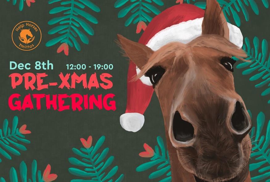 Help Horses Ymittos - Pre-xmas Gathering!