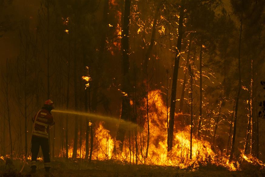 Μάχη με τη φωτιά δίνουν οι πυροσβέστες στην Πορτογαλία (AP Photo/Sergio Azenha/file)