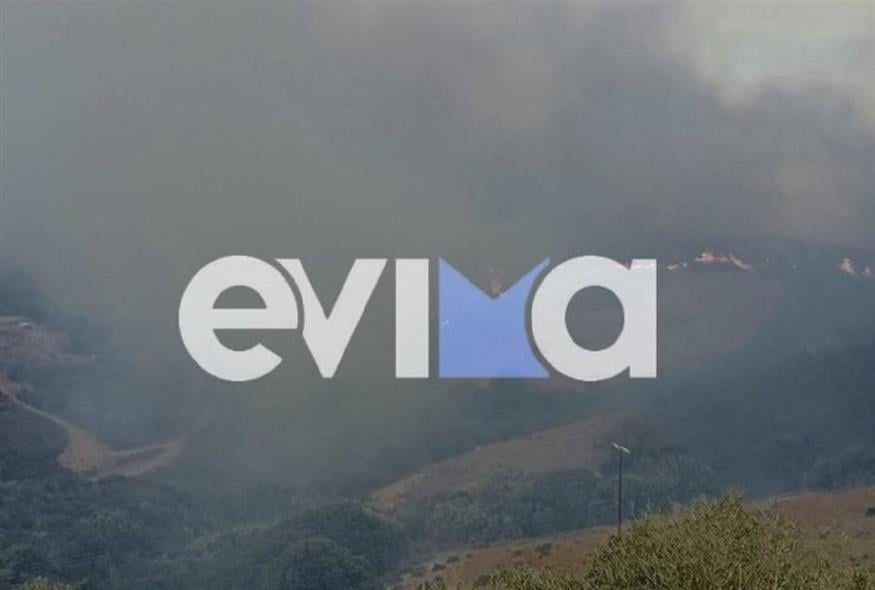 Φωτιά στην Εύβοια (evima.gr)