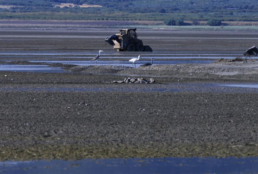 Λίμνη Κάρλα (INTIME NEWS/ΚΥΔΩΝΑΣ ΓΙΩΡΓΟΣ)