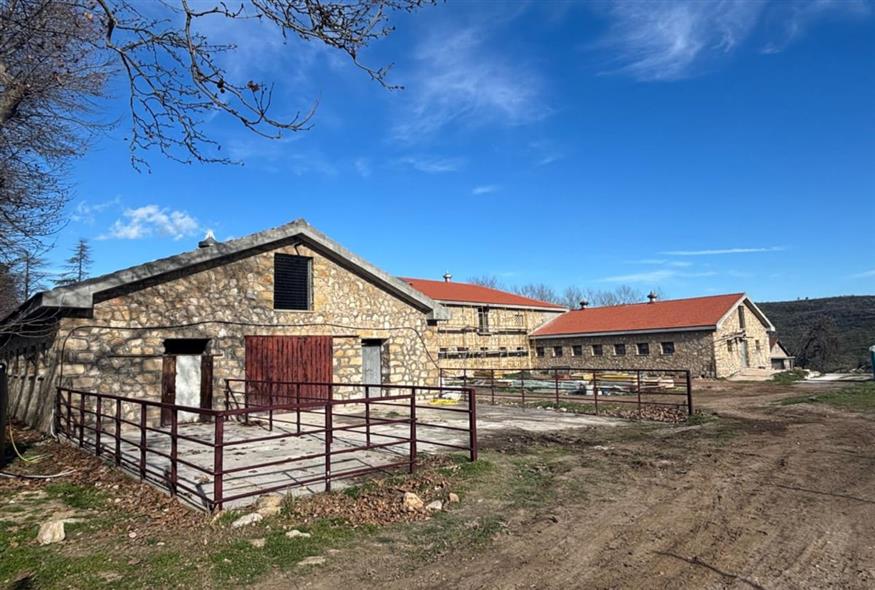 Κτήμα Τατόι (ΓΡΑΦΕΙΟ ΤΥΠΟΥ ΥΠΟΥΡΓΕΙΟΥ ΠΟΛΙΤΙΣΜΟΥ/EUROKINISSI) Κτήμα Τατόι (ΓΡΑΦΕΙΟ ΤΥΠΟΥ ΥΠΟΥΡΓΕΙΟΥ ΠΟΛΙΤΙΣΜΟΥ/EUROKINISSI)