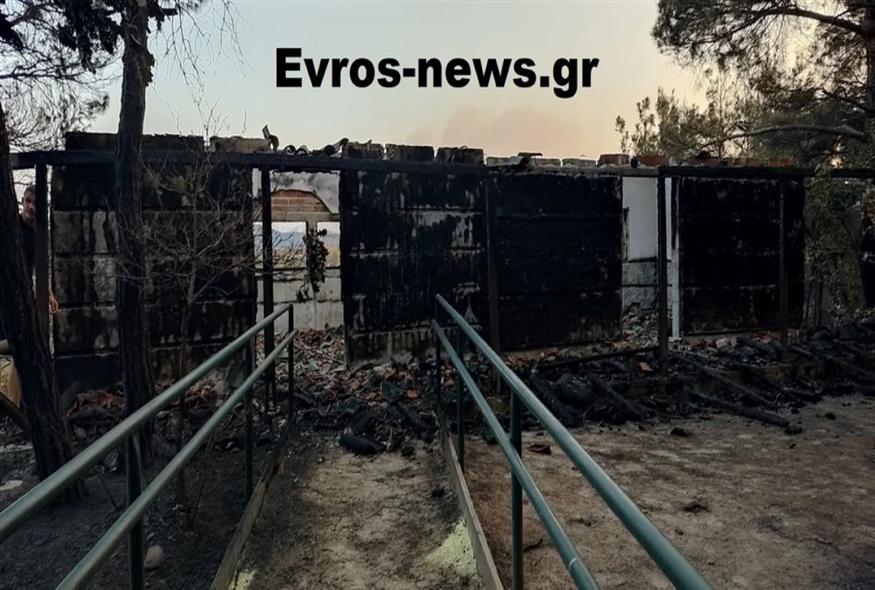 Δάσος της Δαδιάς (evros-news.gr)