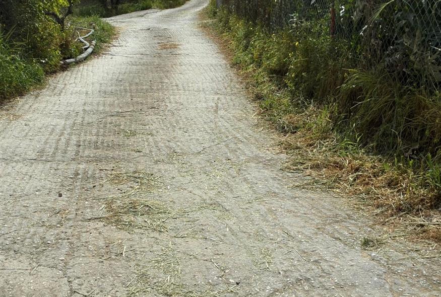 Ηράκλειο γυναικοκτονία