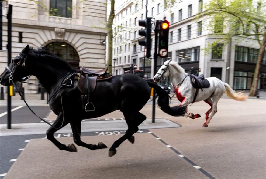 Λονδίνο: Άλογα του Βασιλικού Ιππικού προκάλεσαν πανικό στο κέντρο της πόλης