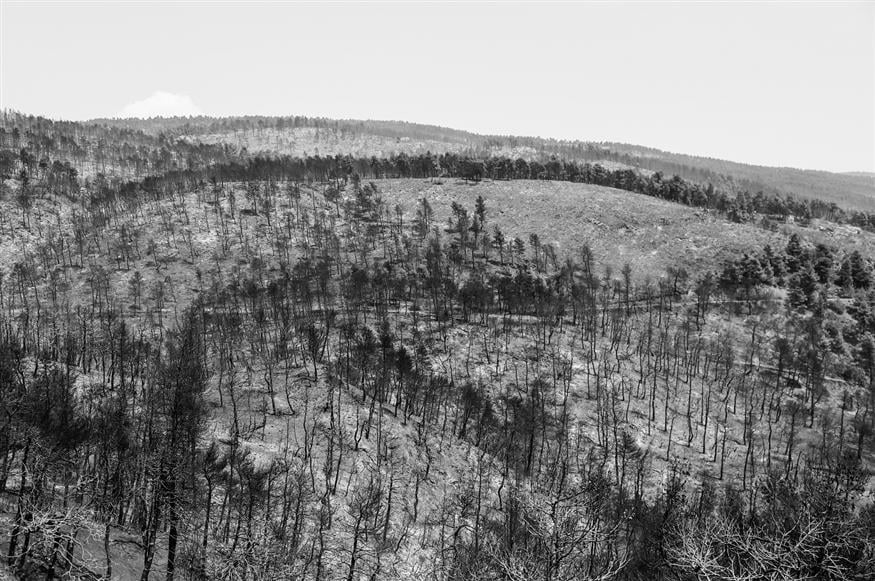 Η καταστροφική φωτιά στην Εύβοια άφησε πίσω της χιλιάδες καμένες εκτάσεις παρθένου δάσους, σε προστατευόμενες περιοχές Natura (EUROKINISSI/ΣΩΤΗΡΗΣ ΔΗΜΗΤΡΟΠΟΥΛΟΣ)
