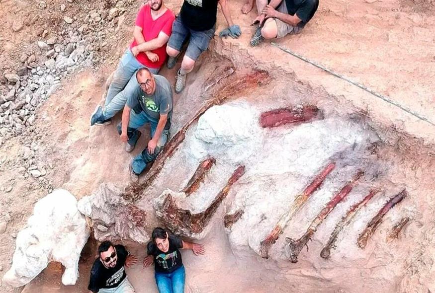 Απολίθωμα γιγαντιαίου δεινοσαύρου στην Πορτογαλία / Twitter Ciencias ULisboa