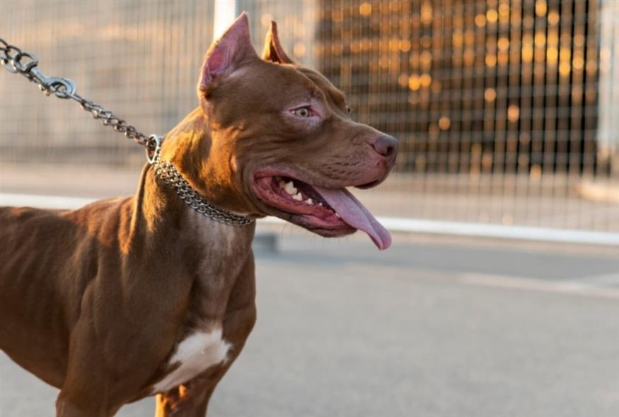 Θλίψη στη Ζάκυνθο για το 2χρονο αγοράκι (Freepic)