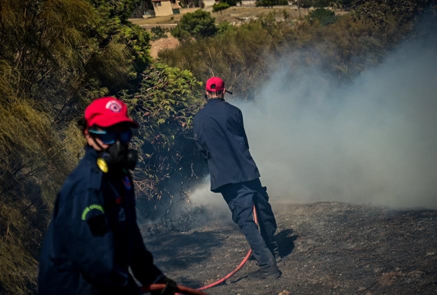 (ΚΩΣΤΑΣ ΤΖΟΥΜΑΣ/EUROKINISSI)